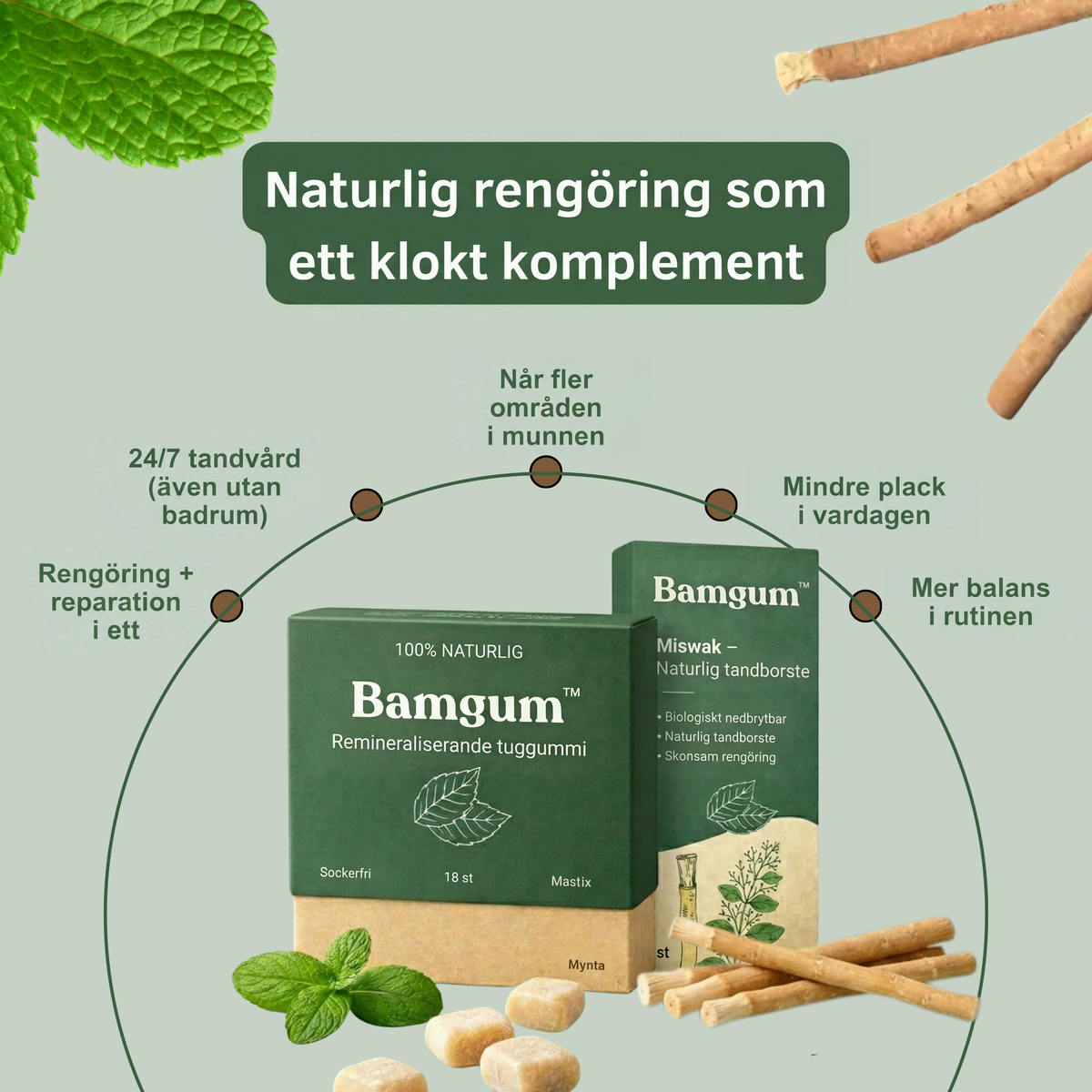 Bamgum Naturpaket