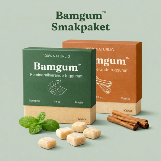 Bamgum Smakpaket