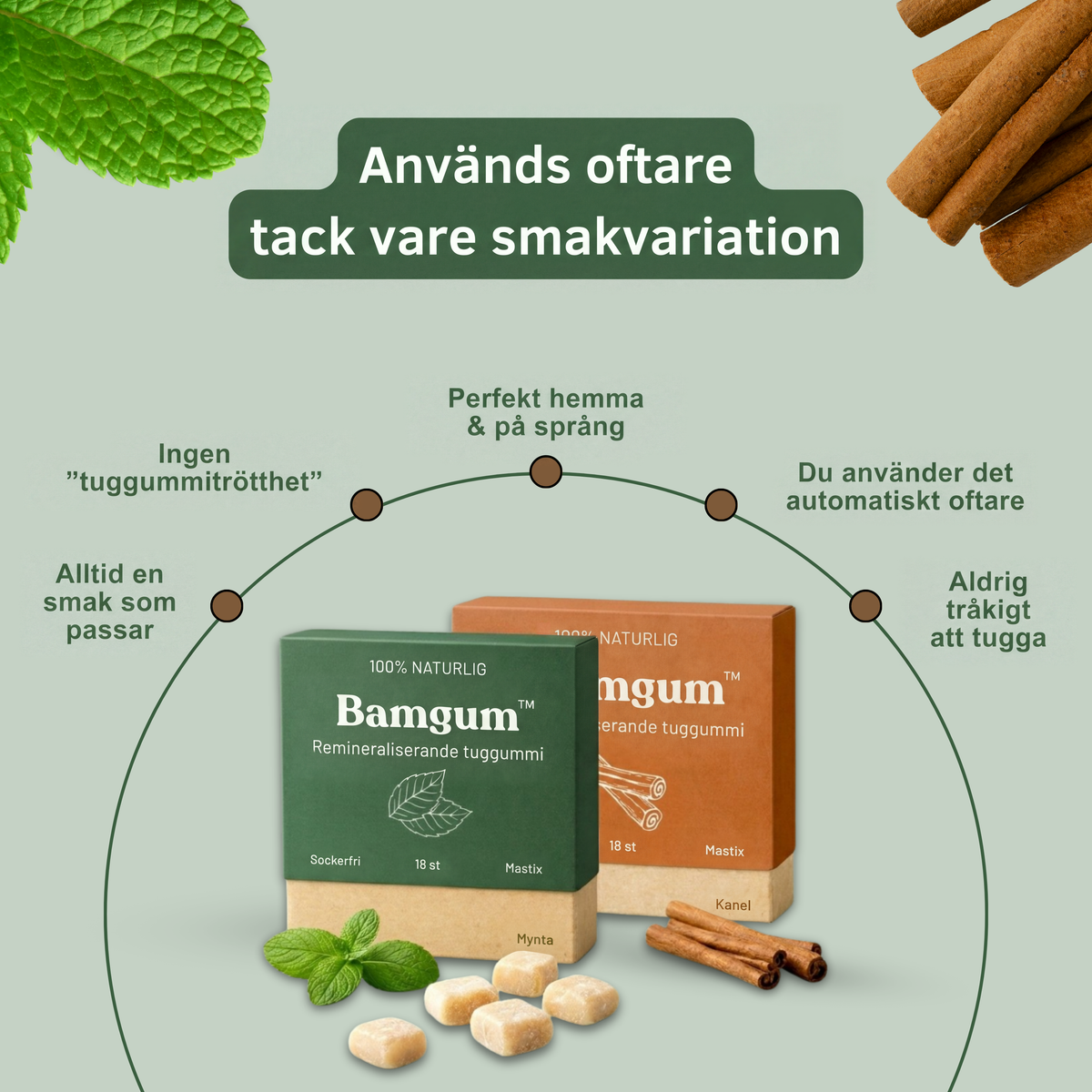 Bamgum Smakpaket