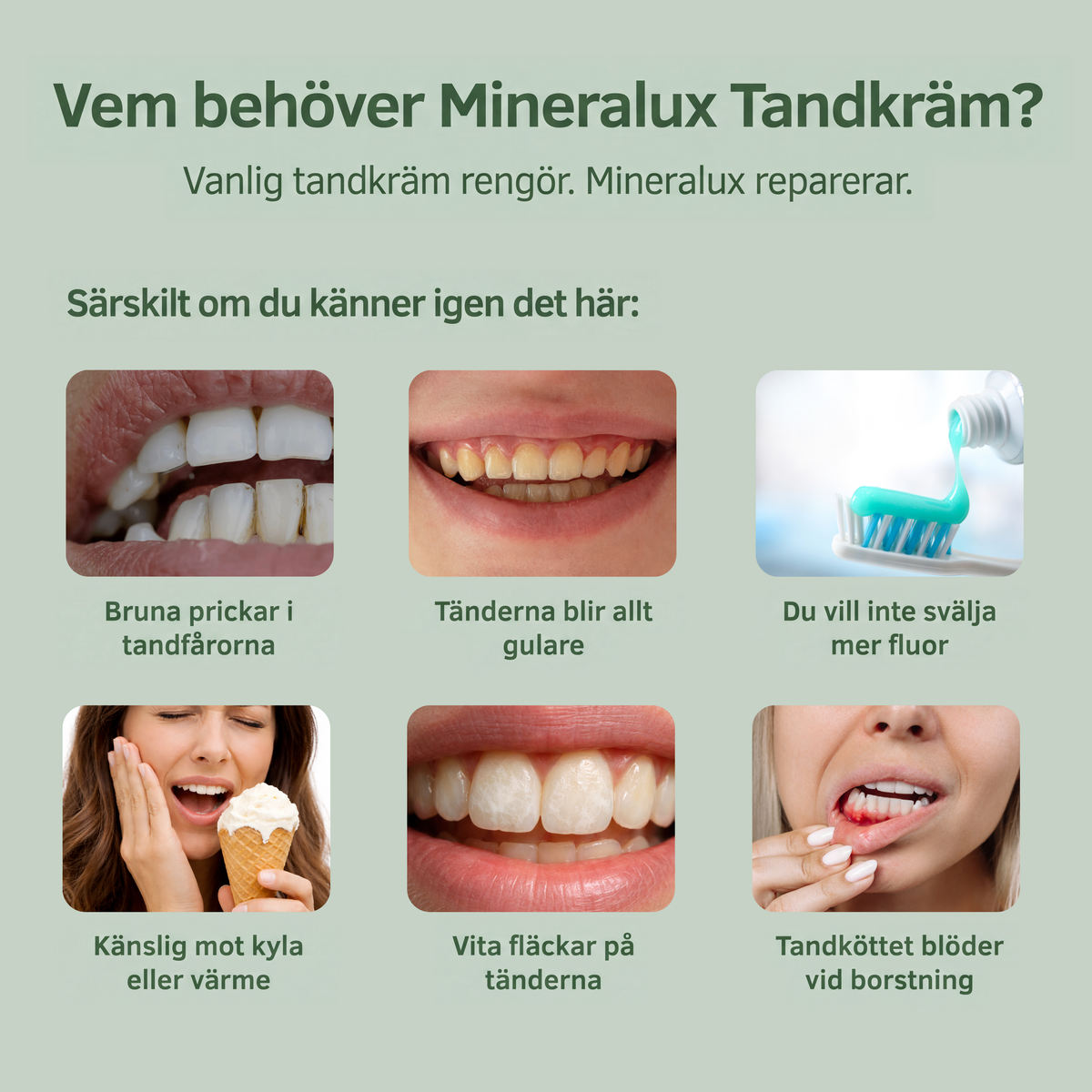 Bamgum - Mineralux Tandkräm