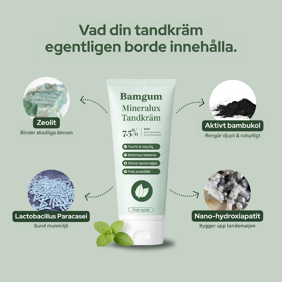 Bamgum - Mineralux Tandkräm