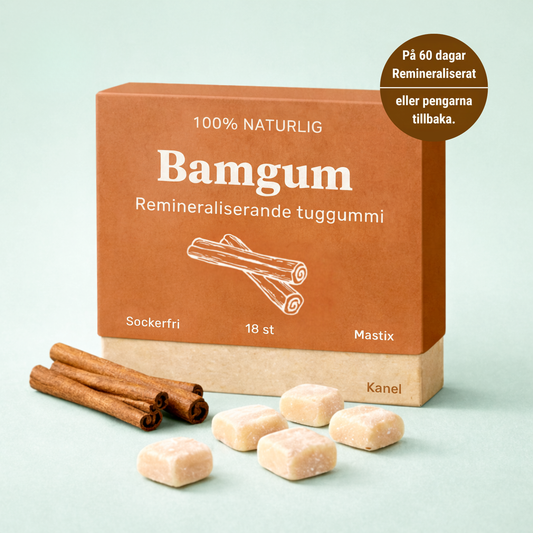Bamgum - Remineraliserande Tuggummi (Kanel)