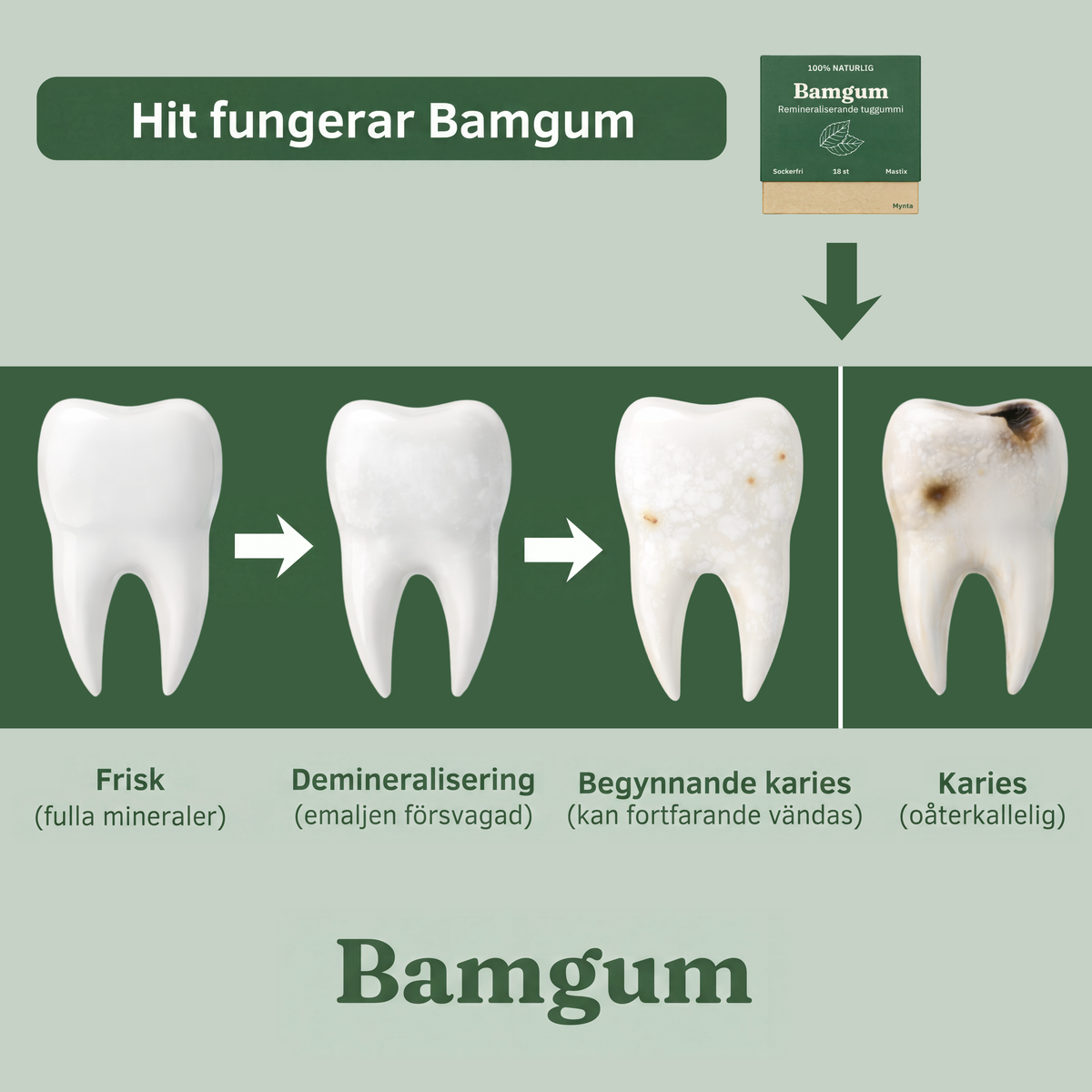 Bamgum - Remineraliserande Tuggummi