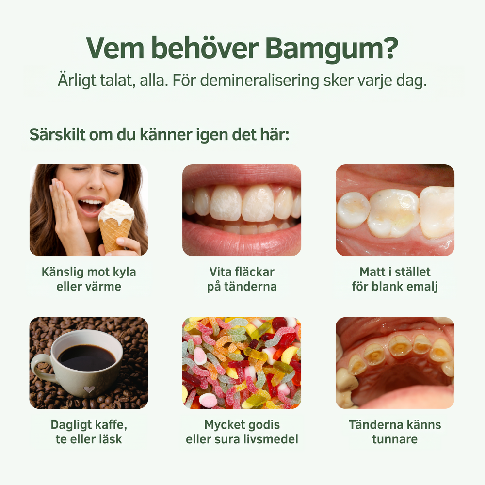Bamgum Tandvårdstuggummi
