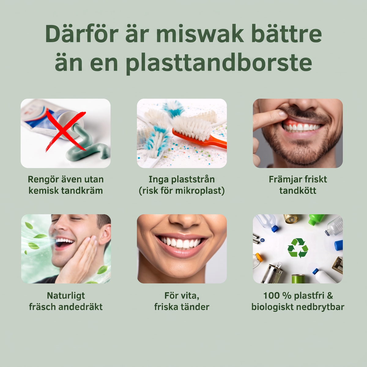 Bamgum - Miswak naturlig tandborste (3 st.)