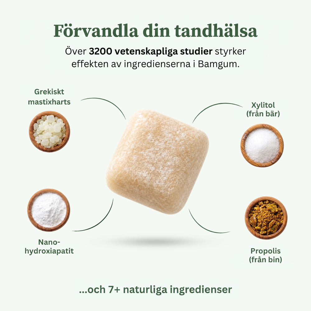 Bamgum Tandvårdstuggummi