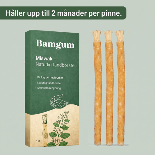 Bamgum - Miswak naturlig tandborste (3 st.)