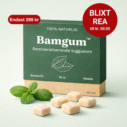 FLASH SALE - Bamgum Remineraliserande Tuggummi (Mynta)