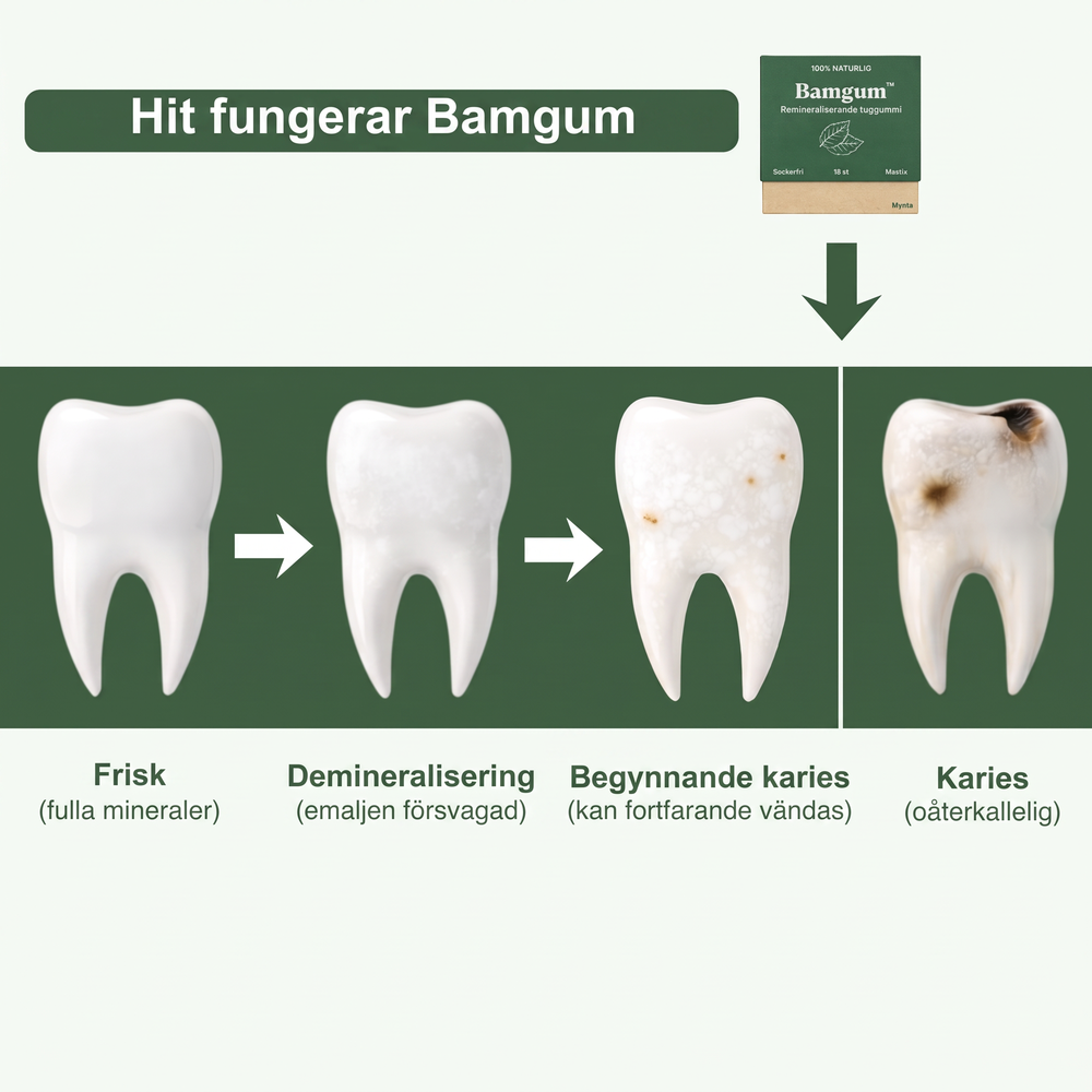 Bamgum Tandvårdstuggummi