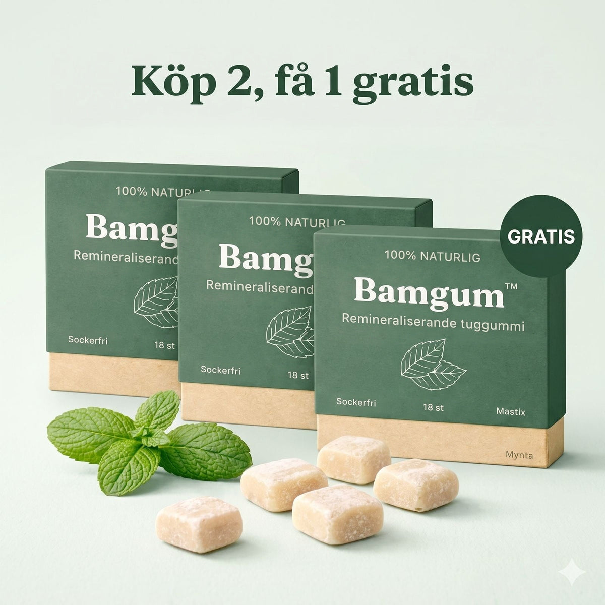 Bamgum - Remineraliserande Tuggummi (2+1)